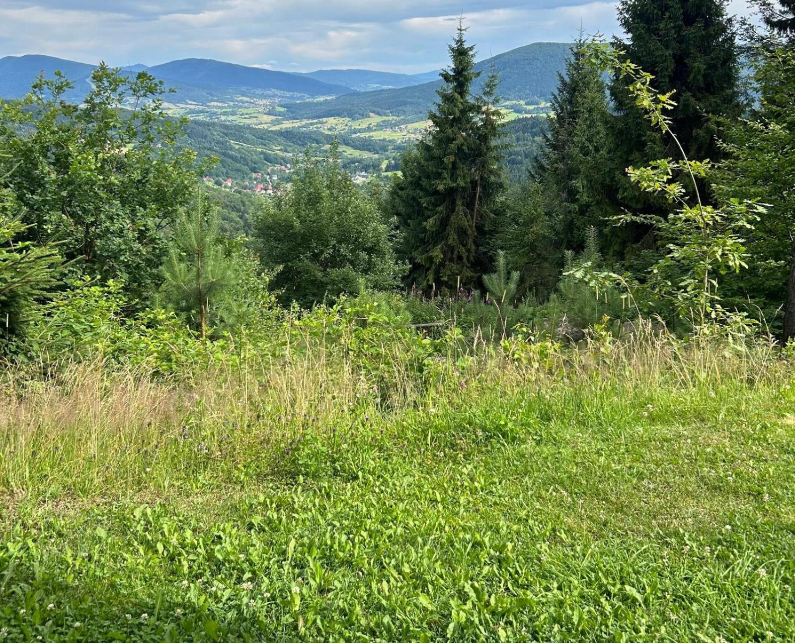 Bed and Breakfast Gosciniec Pod Lubomirem Weglowka  Екстер'єр фото